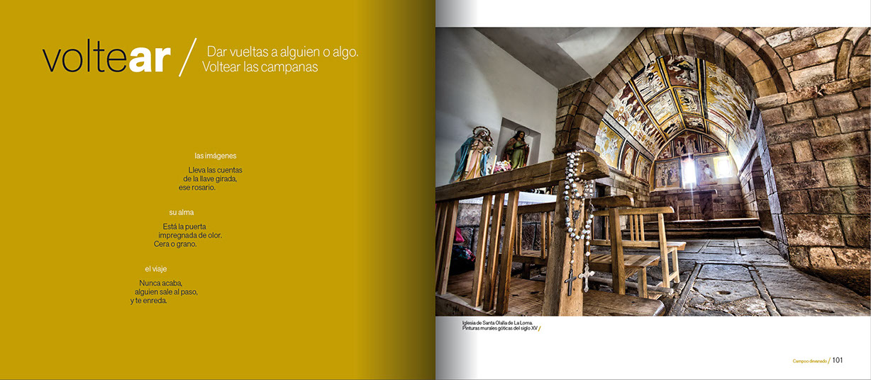 campoo devanado img4 1